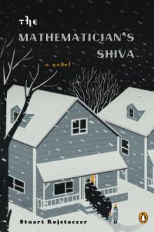 The Mathematician's Shiva - Stuart Rojstaczer - 10/23/2015 - 3:30pm