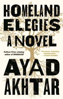 Homeland Elegies - Ayad Akhtar - 03/25/2021 - 6:00pm