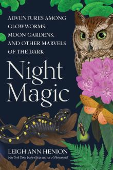 Night Magic Book Jacket