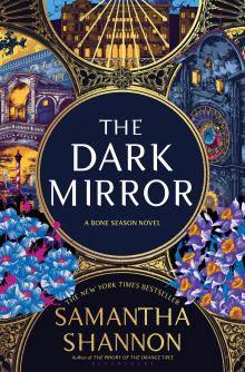 The Dark Mirror Book Cover