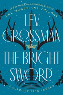 The Bright Sword Book Cover