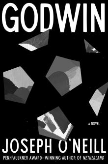 Godwin Book Cover